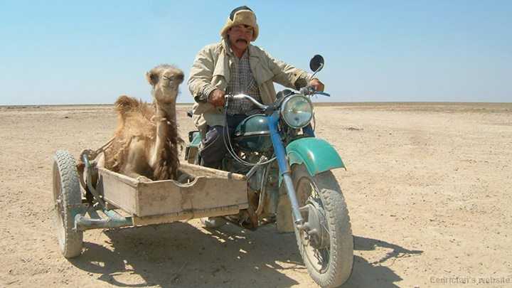 CamelSidecar