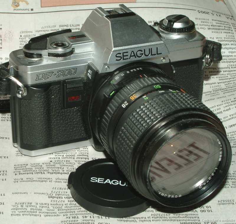 SeagullDF300