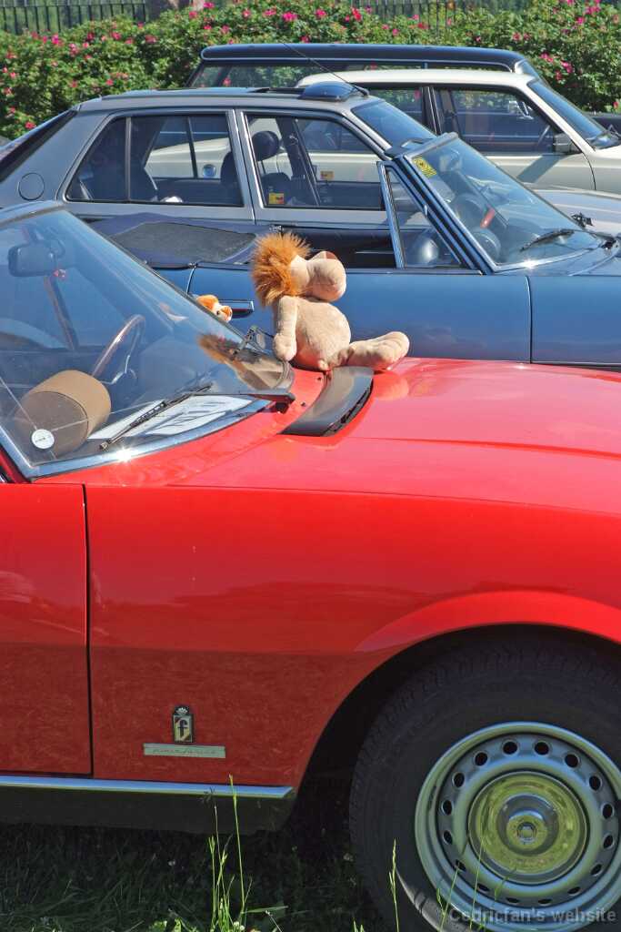 P504cabrio_vahtileijona