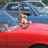 P504cabrio_vahtileijona