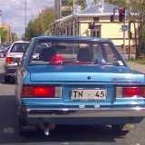 Spotted 08