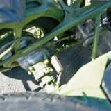 L1000366