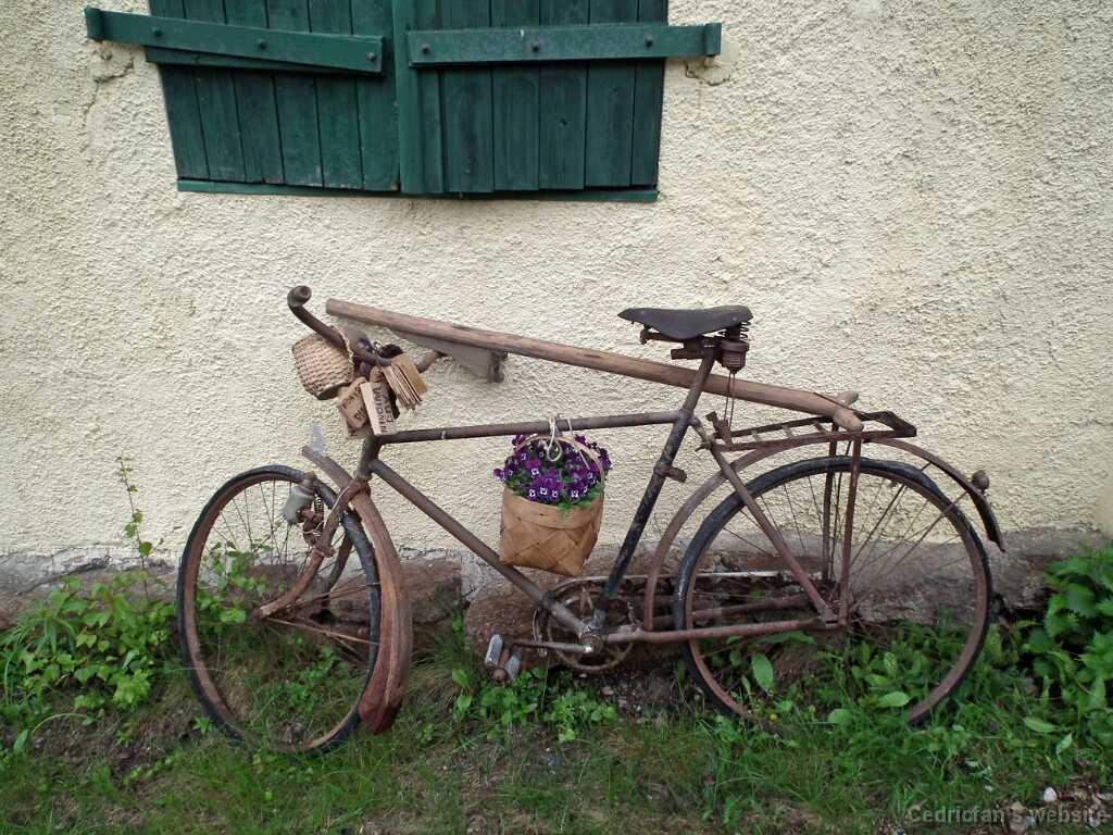 DSCF9051