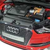 13 IAA selected