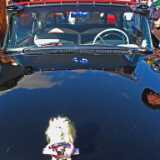 DSCF3981