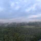 IMG_20240804_082008