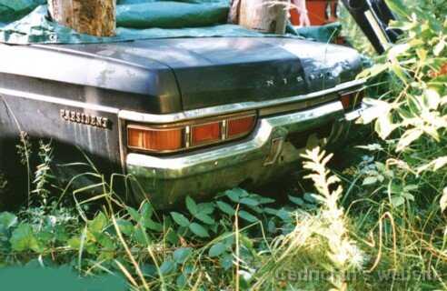 1st_250_rear