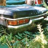 1st_250_rear