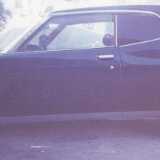 KPL130arabiaside