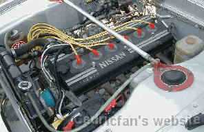 nissanmosa