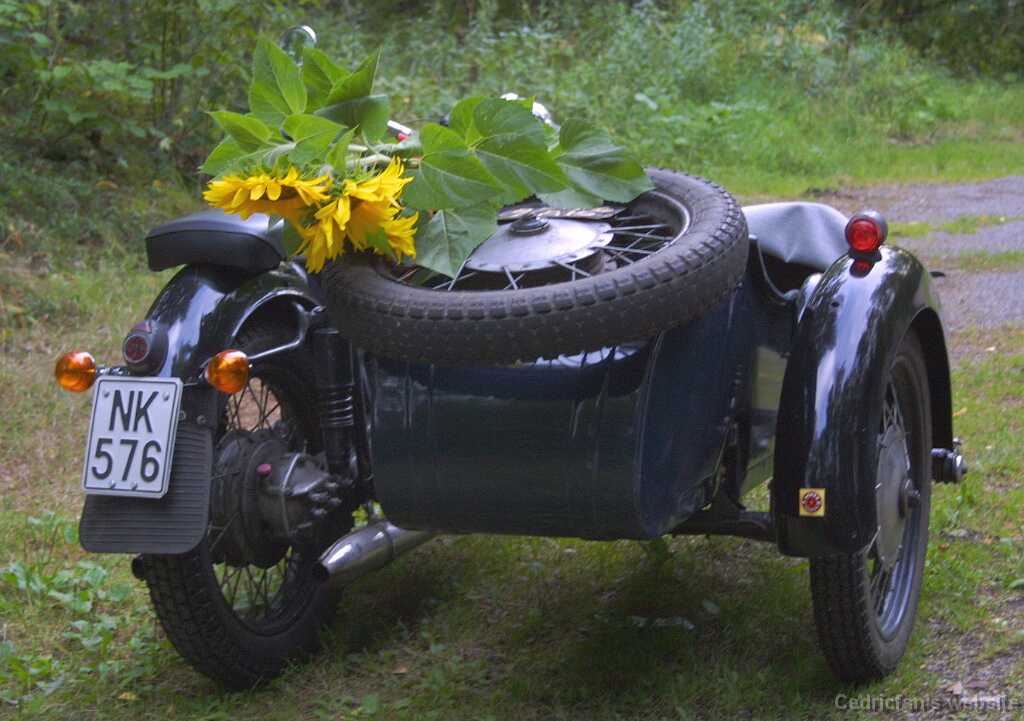 17_FlowerPot