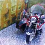 SVMPbatbike (2)