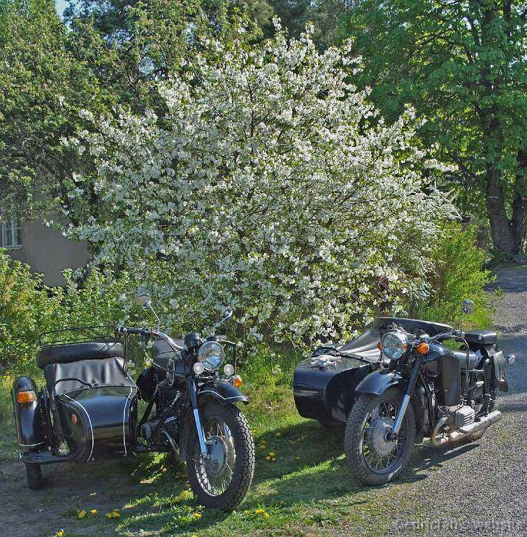 08 CherryBikes