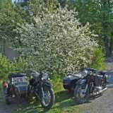 08 CherryBikes