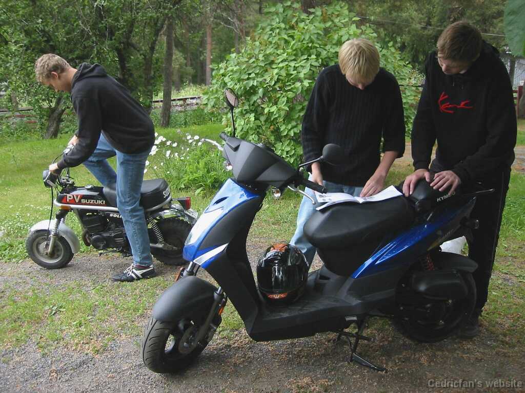 04Inspection