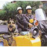Historical 1980ies dog
