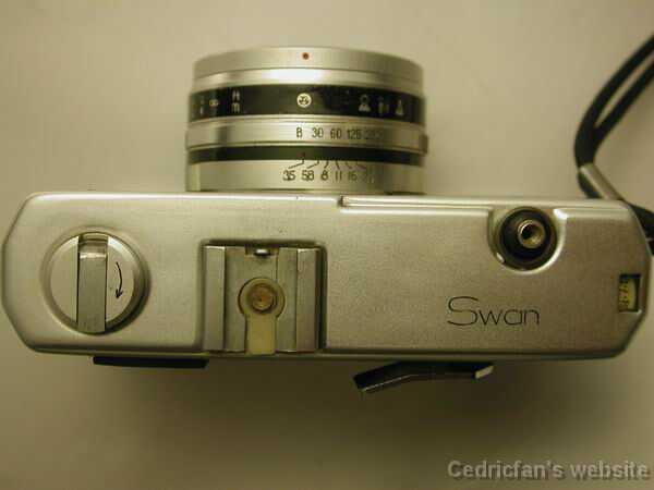 Swan2