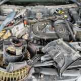 IMG_20250421_104957