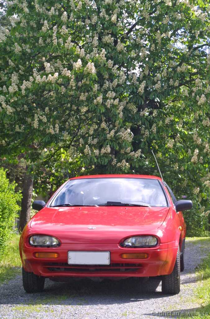 0906blossom