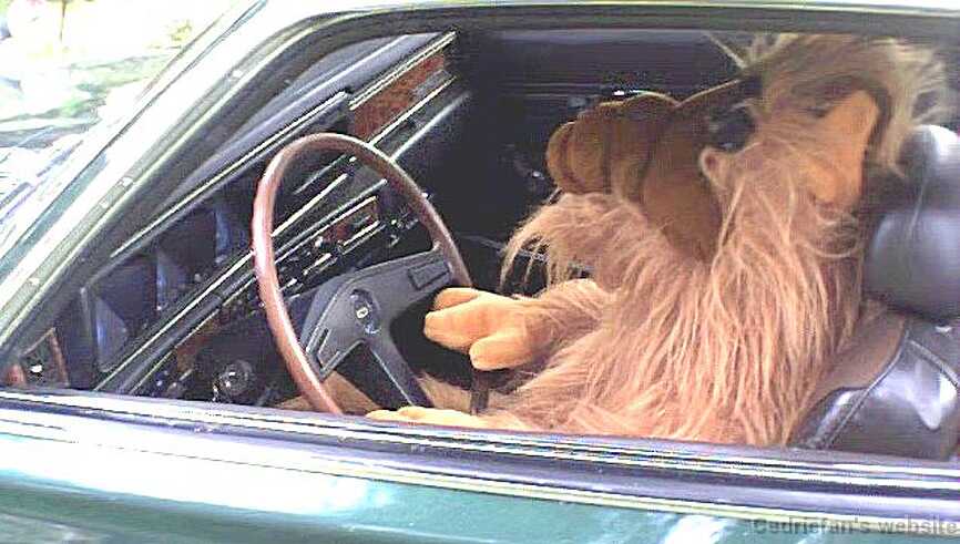 06_ALF_in_610