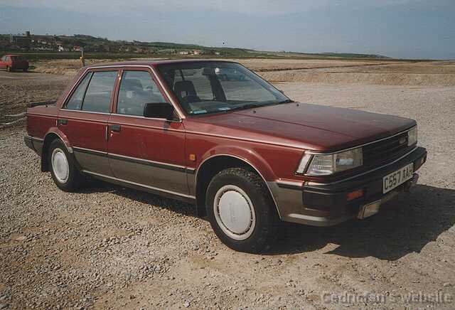 BluebirdU11_85