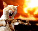 xFireCat