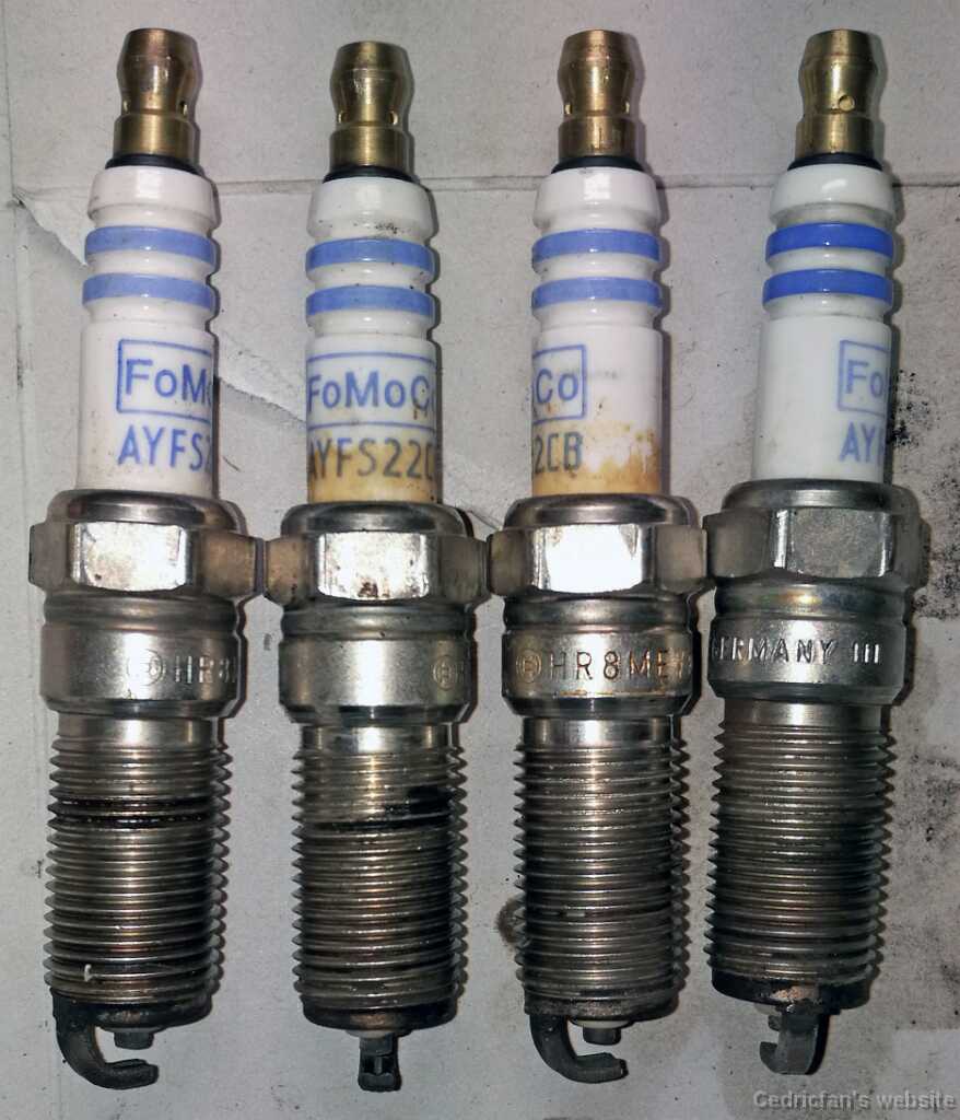 FiestanTulpat (1)