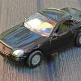 SLK_miniscale (1)