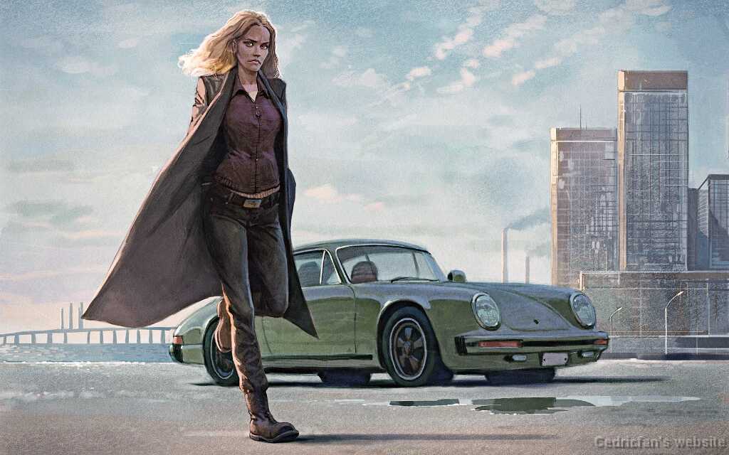 saga-noren-porsche