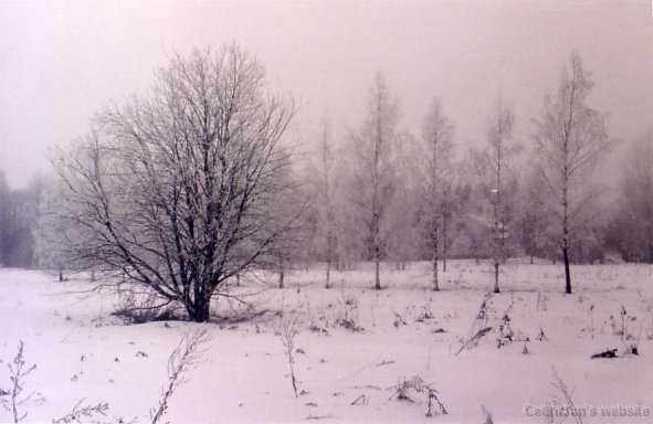 mistfrost