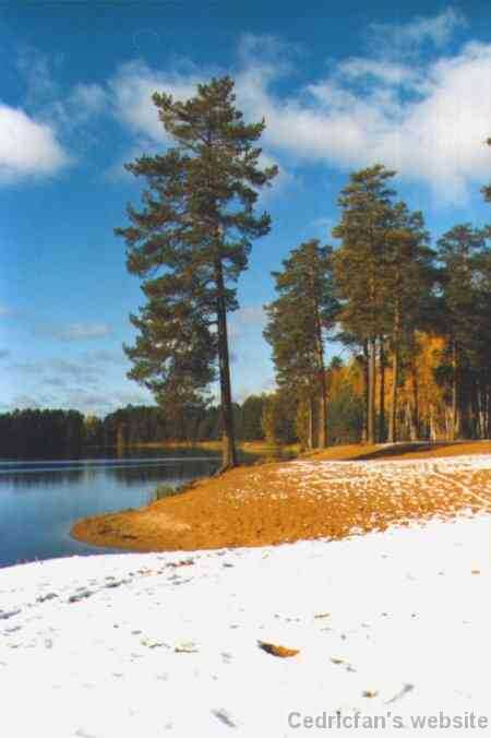 Winterbeach