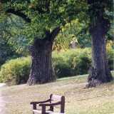 apkPark