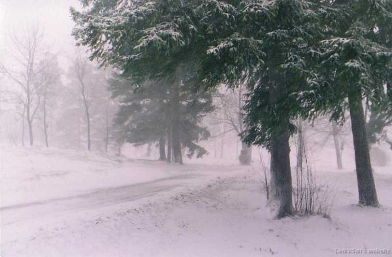 Snowstormroad