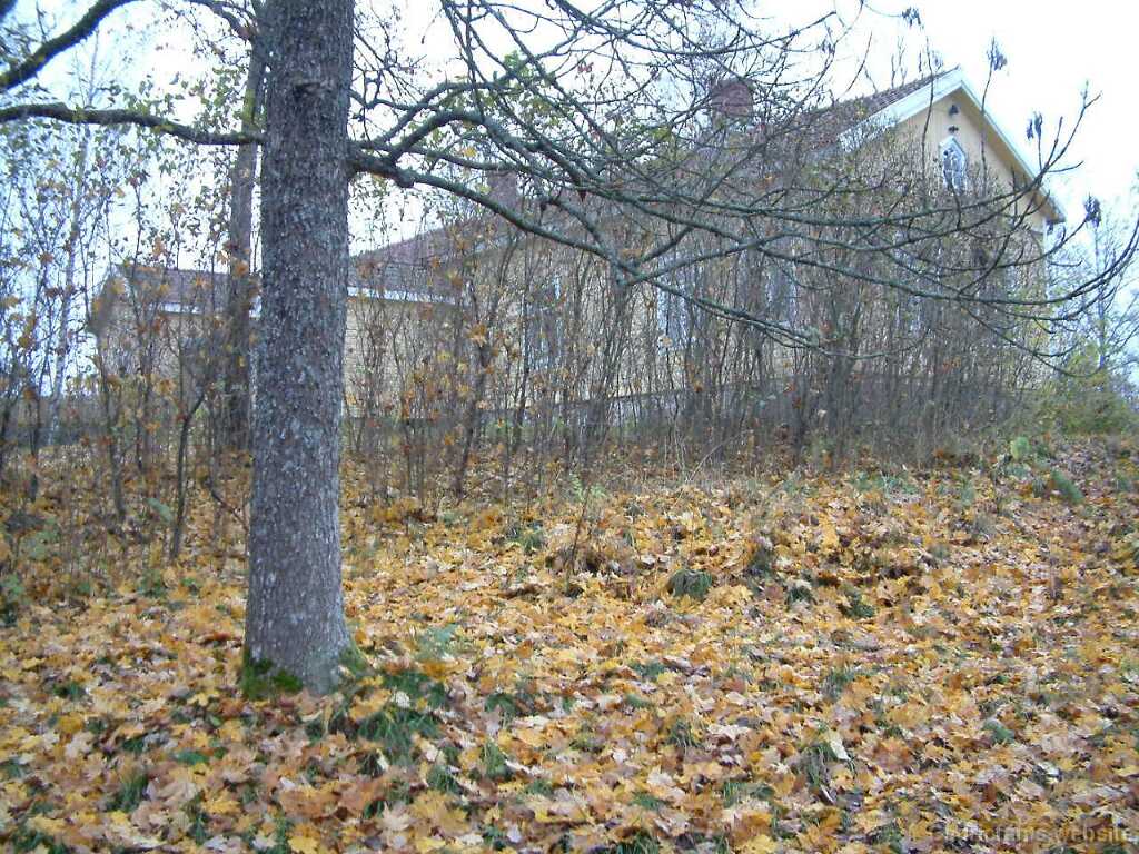Dscf0027