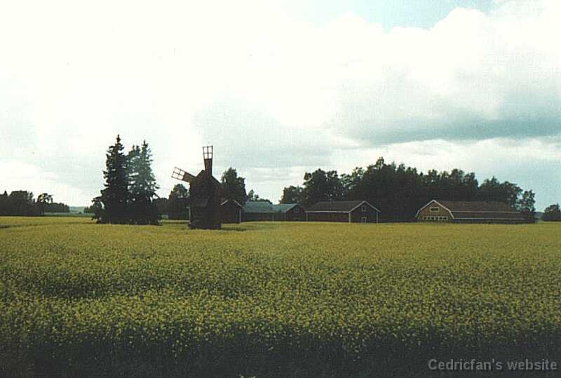 julyfield