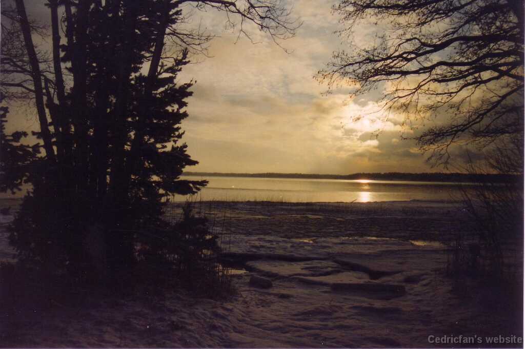Nystad_beach0002