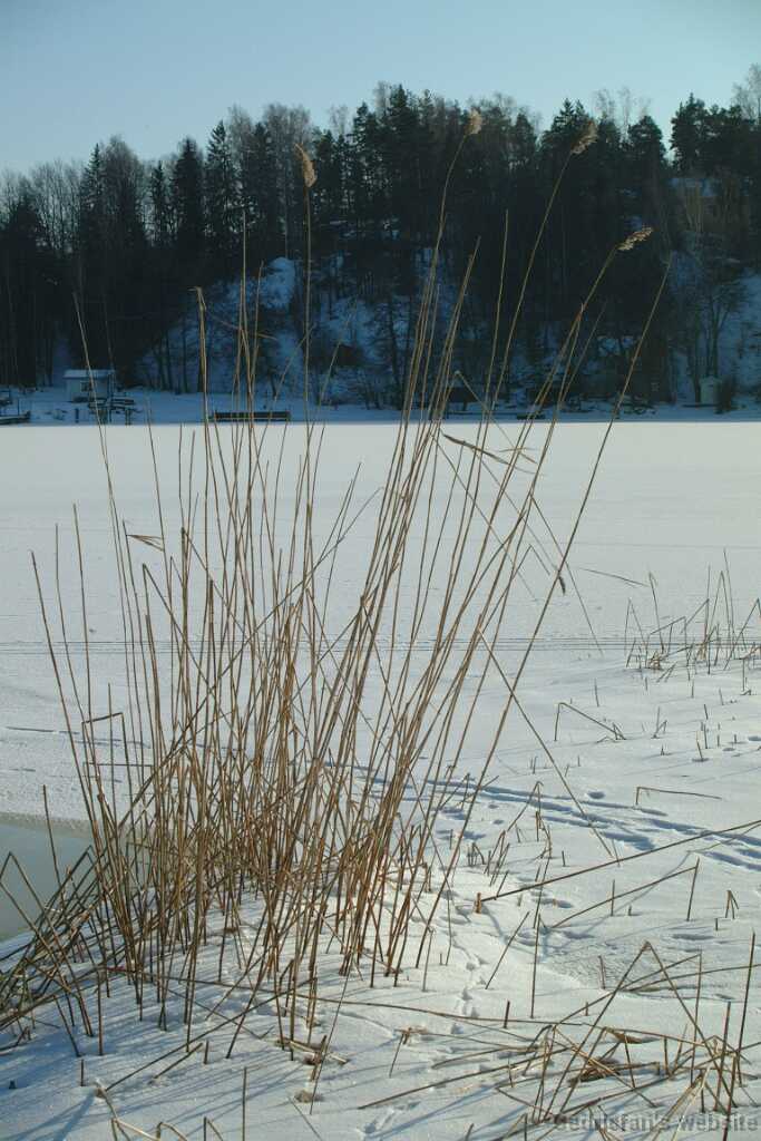Dscf0232