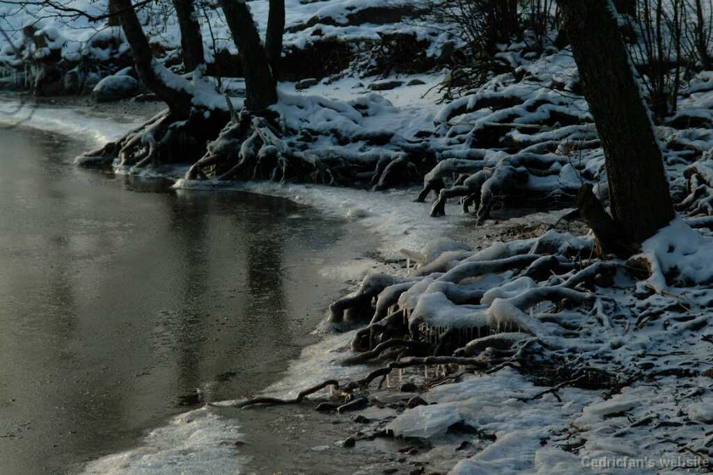 DSCF0028