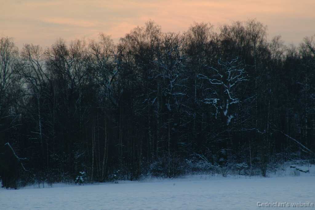DSCF0042