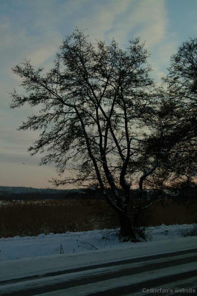 Dscf0022