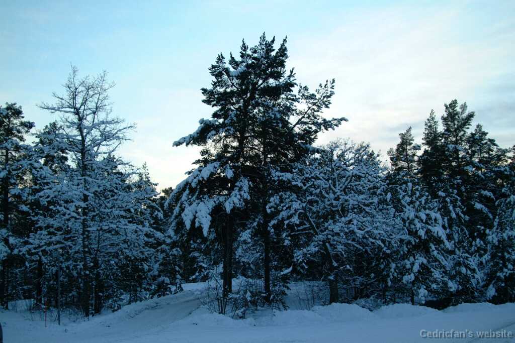 Dscf0061