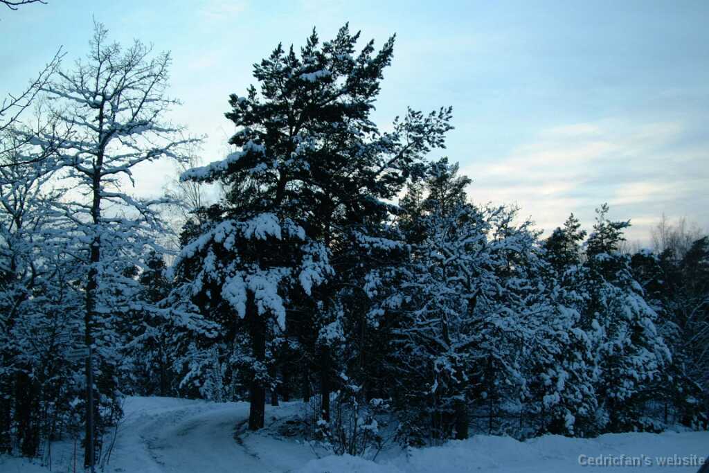 Dscf0067