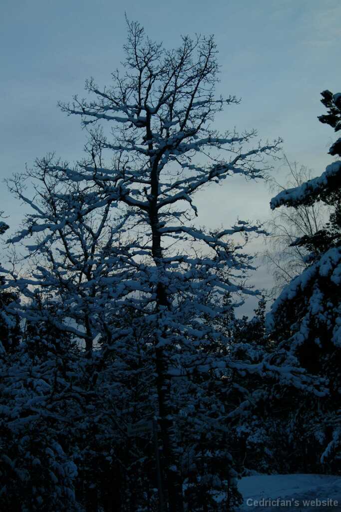Dscf0068