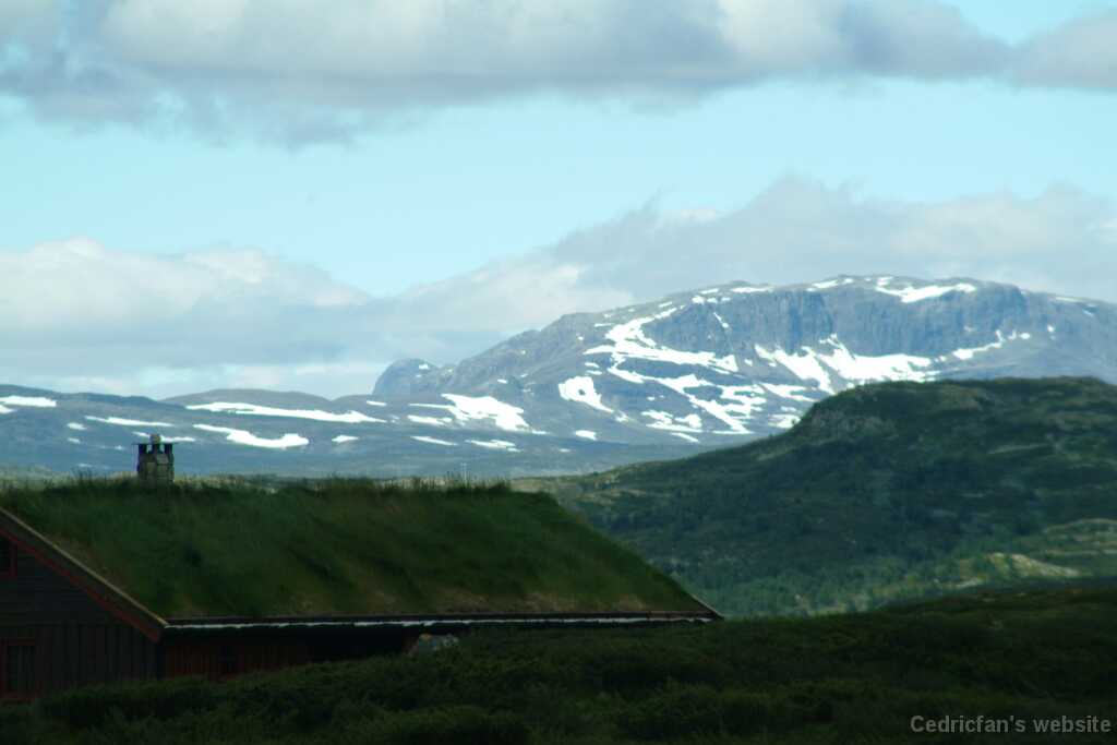 DSCF9870