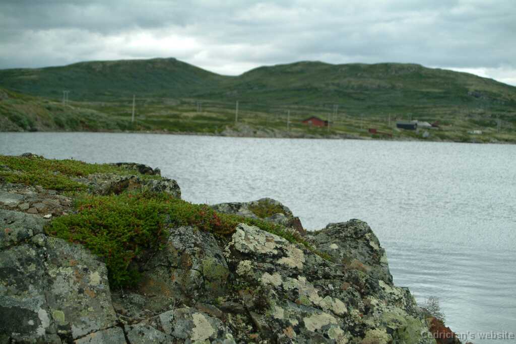 DSCF9886
