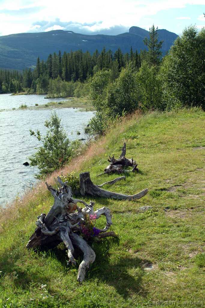 NRantamaisema
