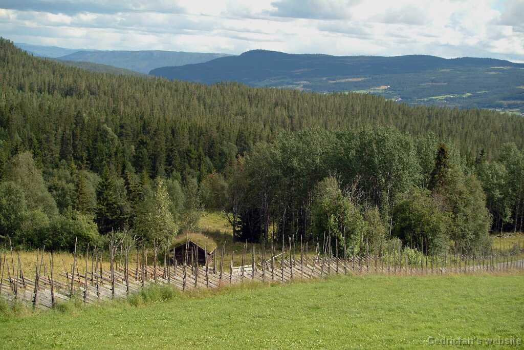 NVuoripelto