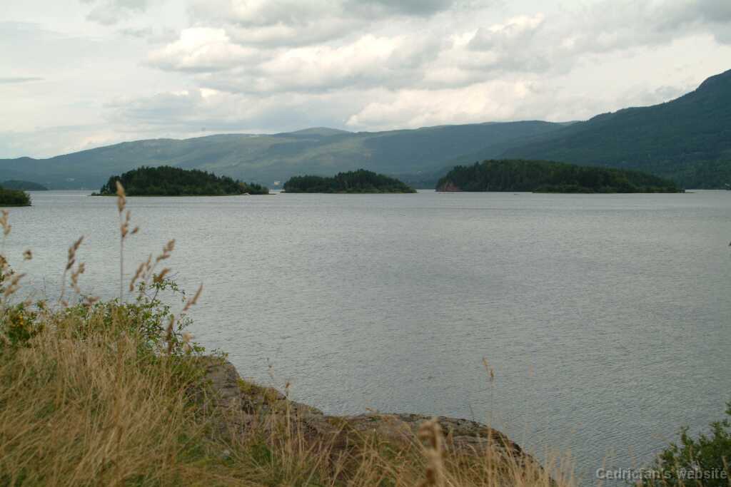 DSCF9641