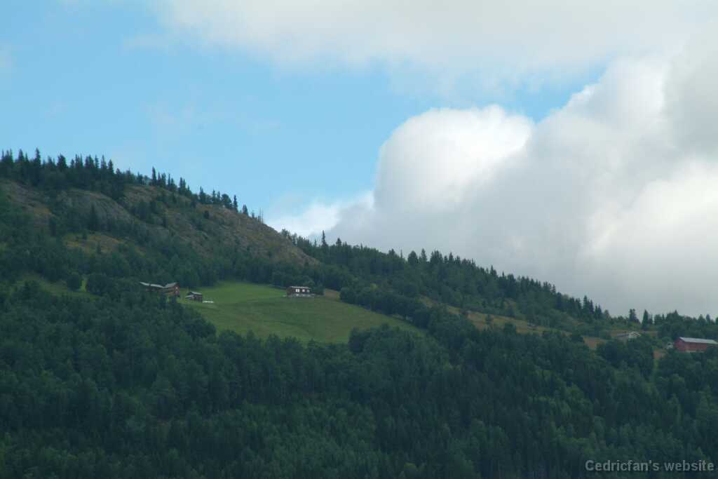 DSCF9689