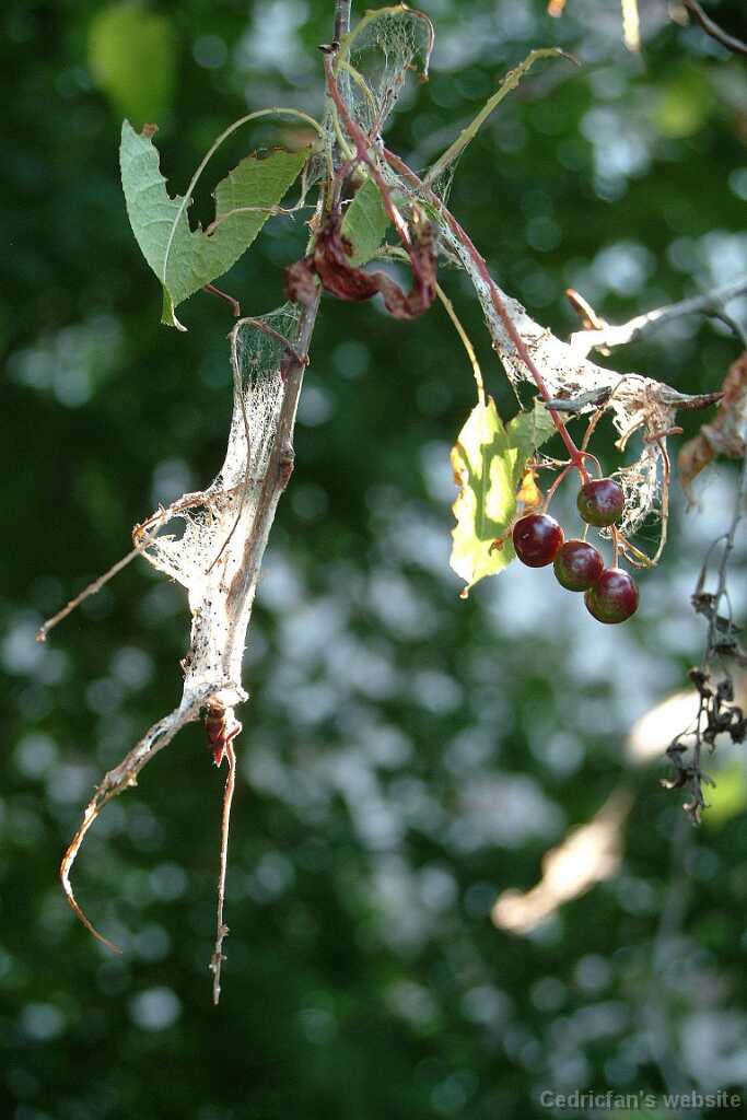 Dscf9326